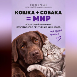 «Кошка + собака = мир: пошаговый протокол безопасного приучения хищников под одной крышей