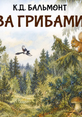 За грибами
