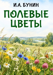 Полевые цветы