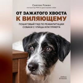 «От зажатого хвоста к виляющему: пошаговый гид по реабилитации собаки с улицы или приюта