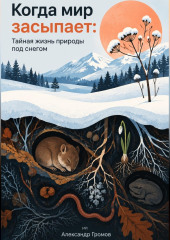 Когда мир засыпает: Тайная жизнь природы под снегом