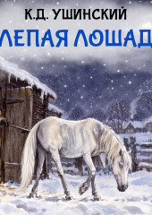 Слепая лошадь
