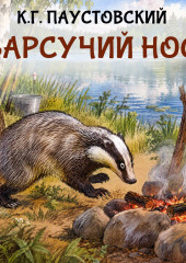 Барсучий нос