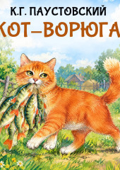 Кот-ворюга