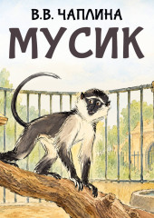 Мусик